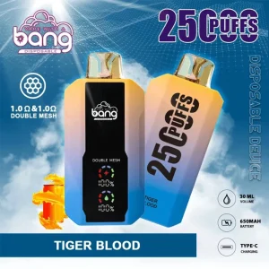 Bang 25000 Puffs Disposable Vape | Smart LED Display & 1.0Ω Mesh Coil Pod