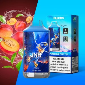 JNR Falcon 16000 Puffs Disposable Vape | Dual Mesh & Dual Charging Ports | 22mL Capacity