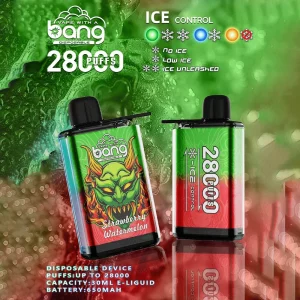 Bang 28000 Puffs Disposable Vape Pen | Adjustable Ice Level & DTL Airflow